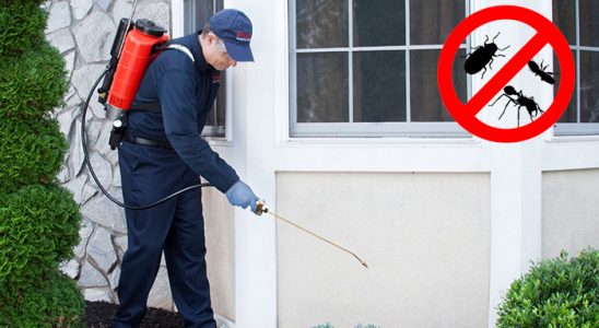 Mamak Akrep İlaçlama böcek ilaçlama ve haşere kontrolü — ilaclama-tr.com